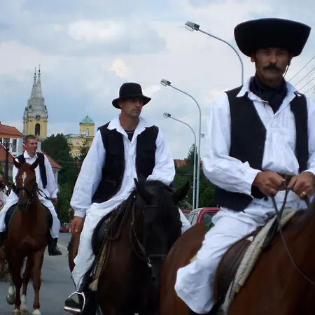 Rézkakas Panzió *