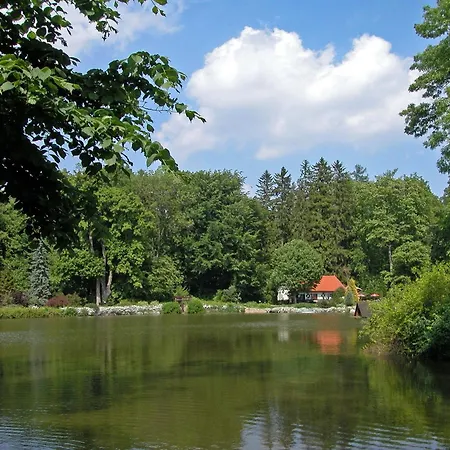 Rézkakas